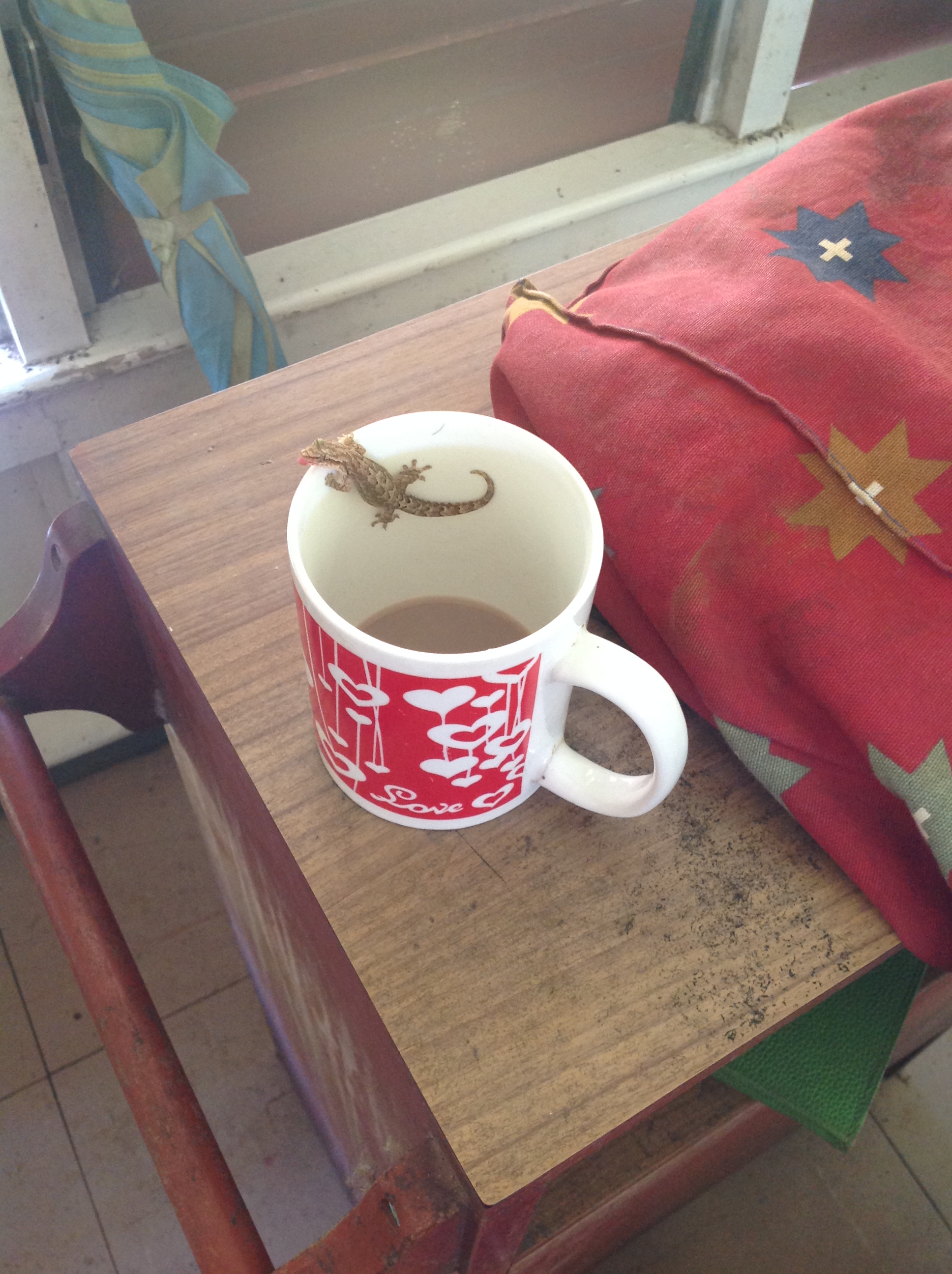 one of Arthur's many hospital visitors sharing a cup of milo